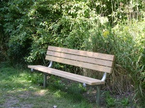 Bench by trail