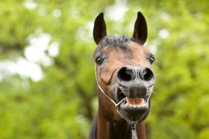 iStock_000009659081XSmall